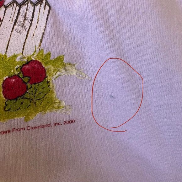 Vintage Strawberry Shortcake Sweatshirt Hoodie Women’s XL Fits Like Large Stain* - Picture 5 of 11